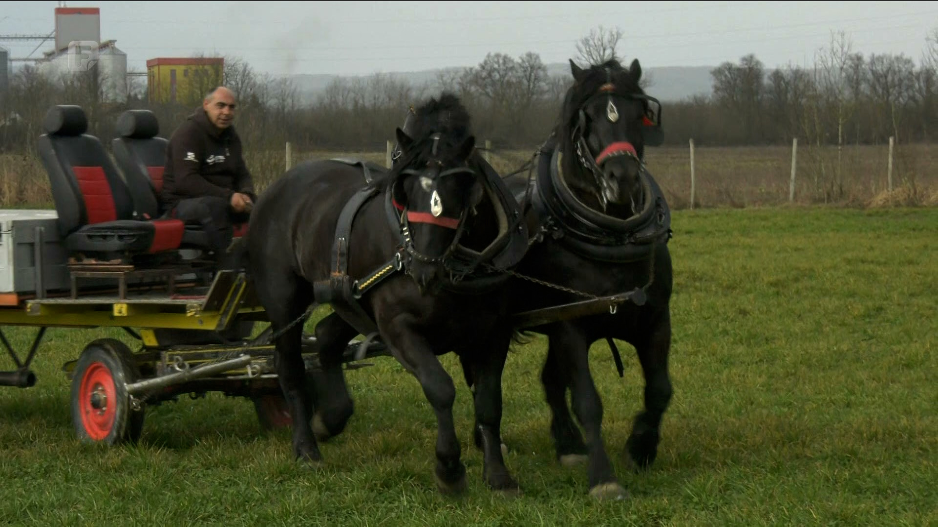 U Odžaku održano druženje ljubitelja konja i njihovih plemenitih životinja